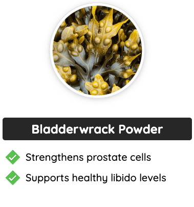 Bladderwrack Powder - Supports prostate health and libido.