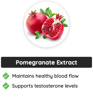Pomegranate Extract - Boosts blood flow and supports testosterone.