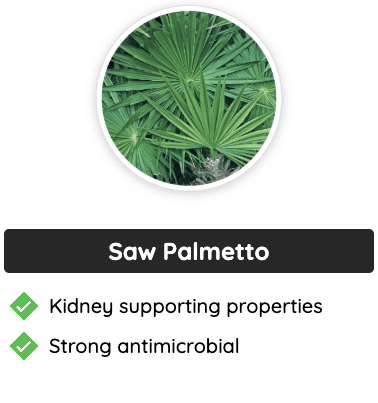 Saw Palmetto - Supports kidney health and has strong antimicrobial properties