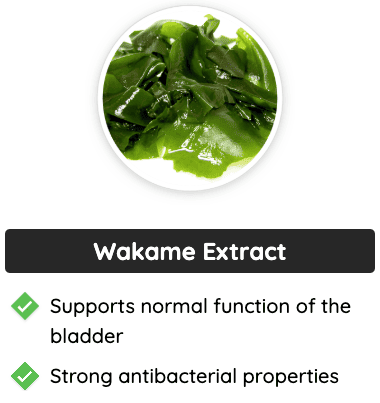Wakame Extract - Supports bladder function and antibacterial defense.